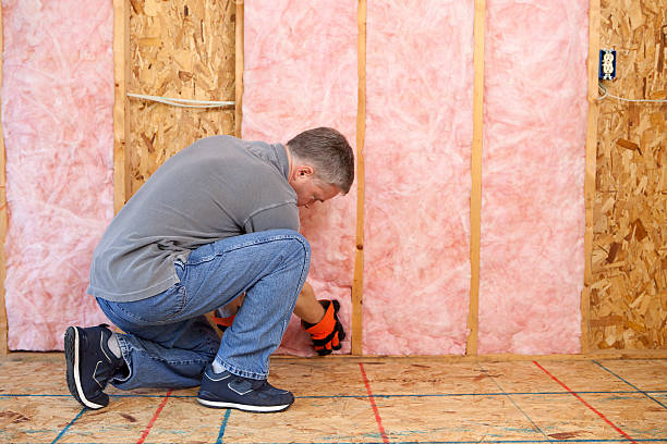 Best Insulation Repair Services  in Kitsap Lake, WA
