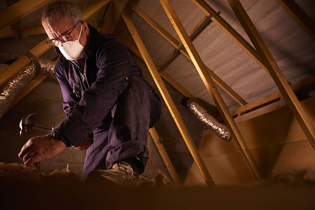 Best Residential Insulation Services  in Kitsap Lake, WA